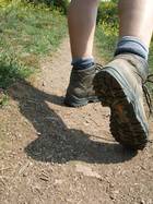 Mehr über den Artikel erfahren Diesjährige Wanderung zur Grillfeier